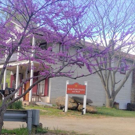 Bliss Point Farm And B&B, Llc Earlysville Екстериор снимка