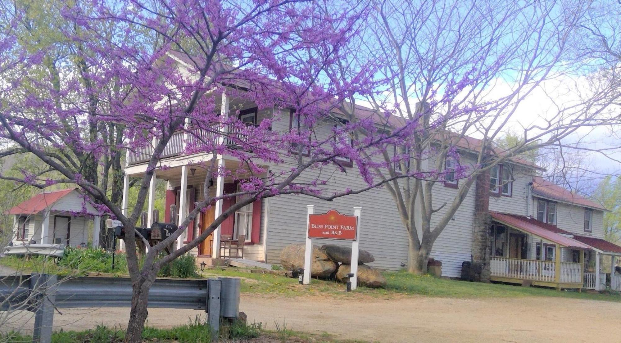 Bliss Point Farm And B&B, Llc Earlysville Екстериор снимка